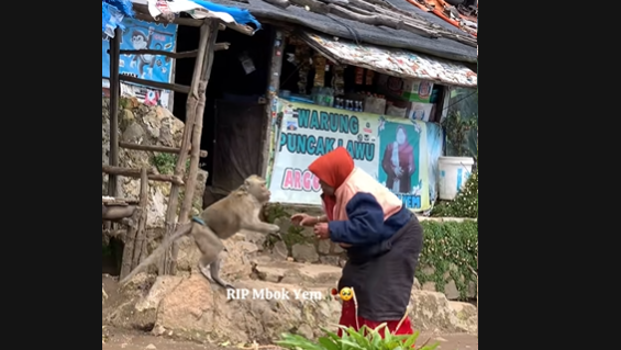 Mbok Yem