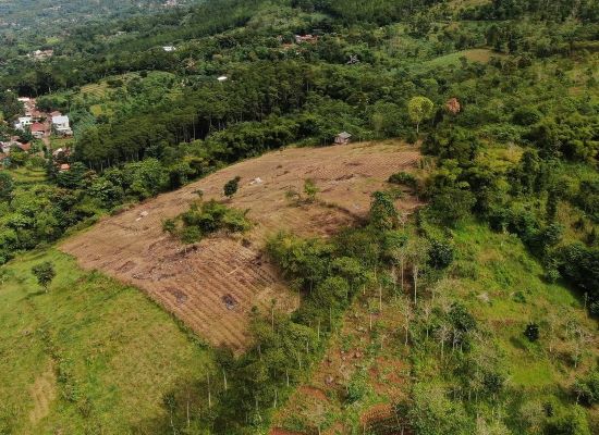 Pasir Padaimut Gunung Manglayang - Instagram Deni Sugandi