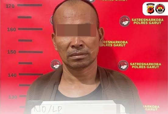 Pengedar Narkotika