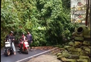 Pohon Tumbang Tutup Akses Jalan Kolonel Masturi Arah Lembang