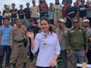 Starlink wilayah blankspot