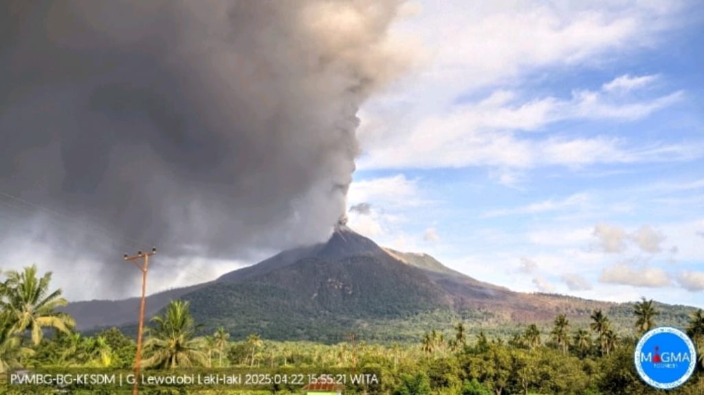 Gunung Lewotobi Laki-Laki Meletus, Abu Vulkanik Teramati 1,3 Km dari Puncak