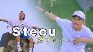 apa arti stecu