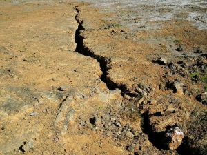 Hadapi Gempa Megathrust, BMKG Tekankan Pentingnya Mitigasi