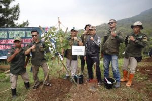 Hari Bumi, DLH Kabupaten Bandung Tanam 100 Pohon Endemik