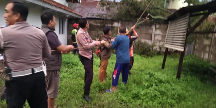 Pohon Tumbang Timpa Gudang di Kawasan Rancaekek
