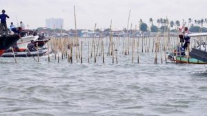 kasus pagar laut tangerang