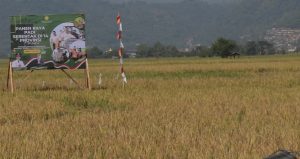 panen raya kabupaten bandung