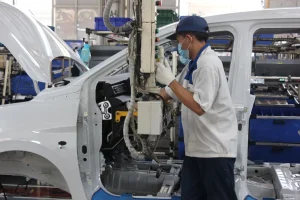 suzuki ormas byd