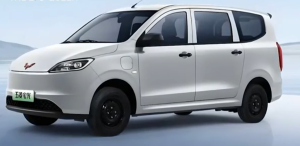 wuling hongguang EREV