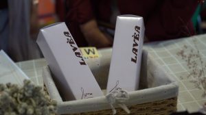 Mahasiswa Polije
