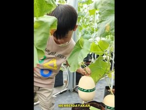Melonesia Bekasi Instagram Rumah Zakat Bekasi