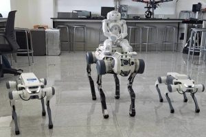Robot Anjing