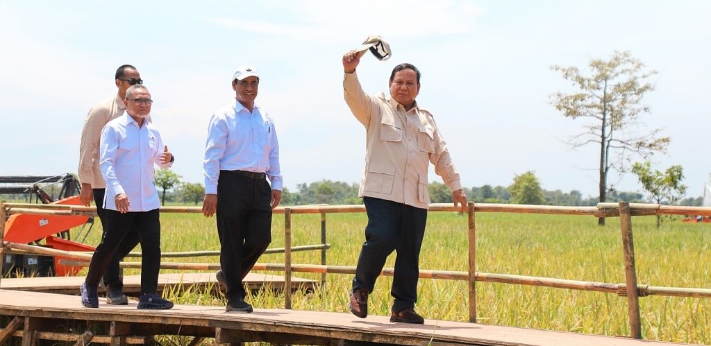 Produksi Beras Indonesia