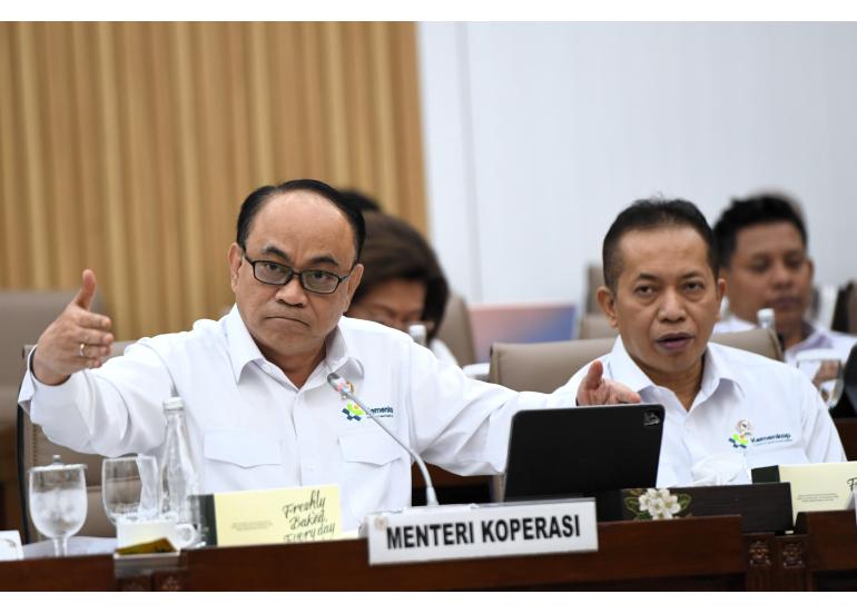 pdip budi arie