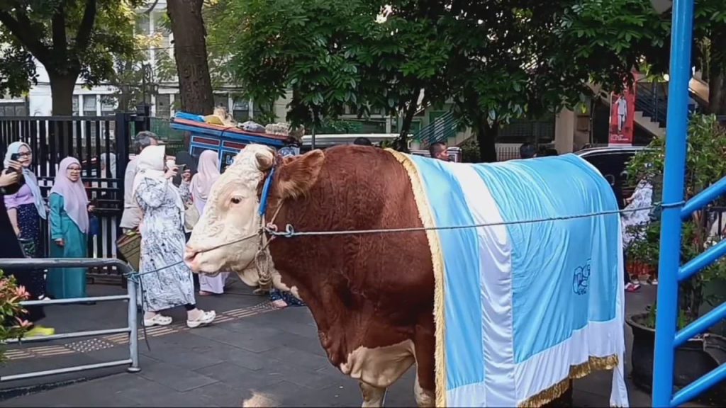 Penjualan Hewan Kurban di Kota Bandung Turun Drastis, Ini Penyebabnya