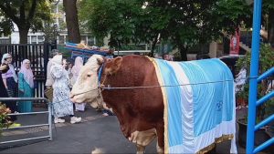 Penjualan Hewan Kurban di Kota Bandung Turun Drastis, Ini Penyebabnya