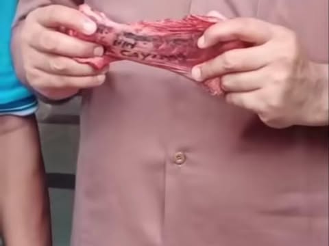Penemuan nama di sapi kurban