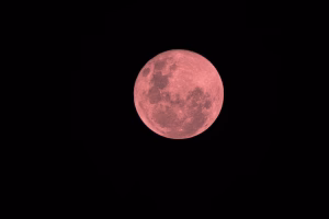 Strawberry Moon