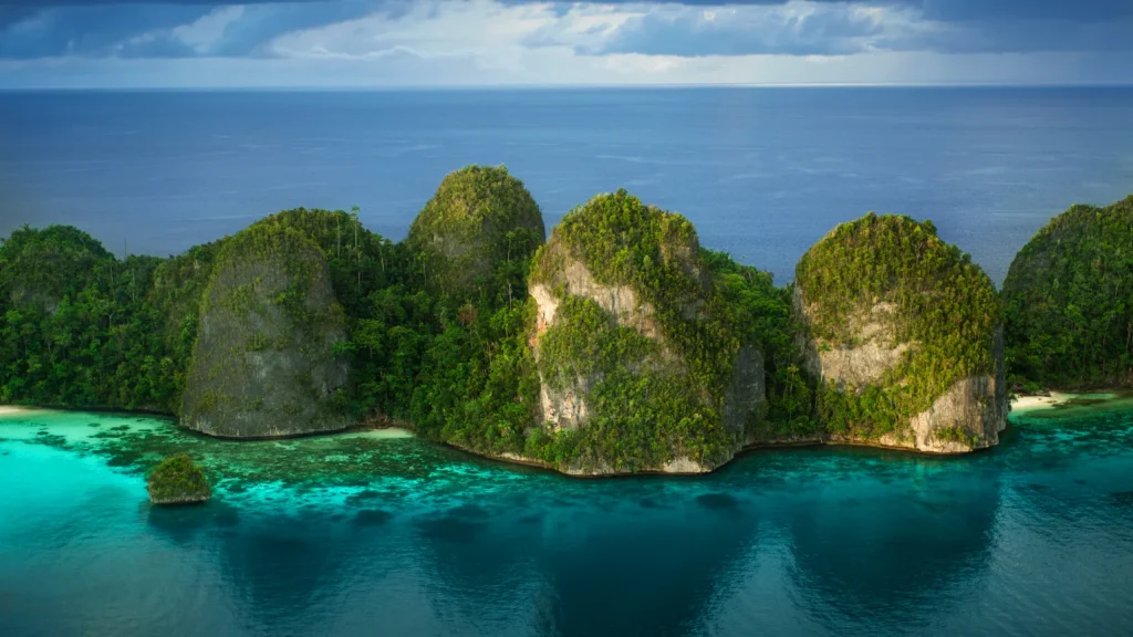 Tambang Nikel di Raja Ampat