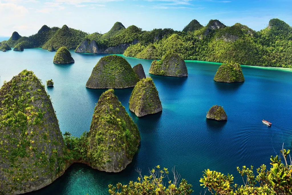 Greenpeace Sebut 16 Izin Tambang Nikel di Raja Ampat Mayoritas di Area Geopark