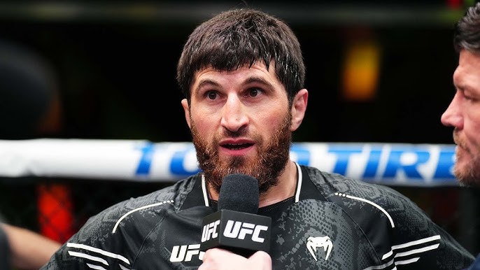 UFC 320 Magomed Ankalaev
