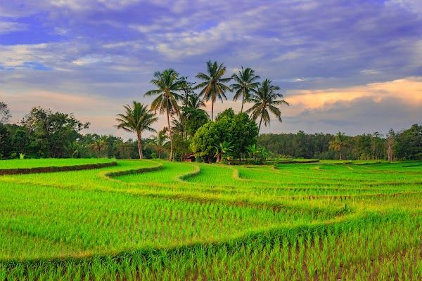 Pangandaran