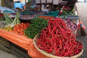 harga cabai