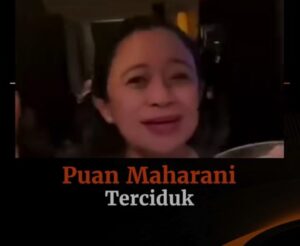 puan party