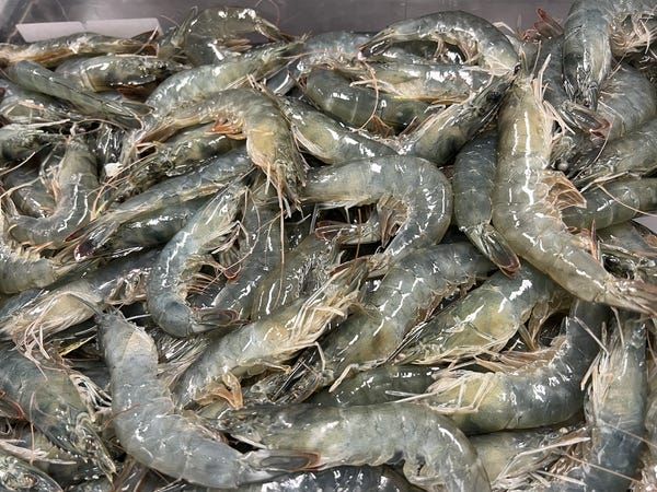 Udang Indonesia