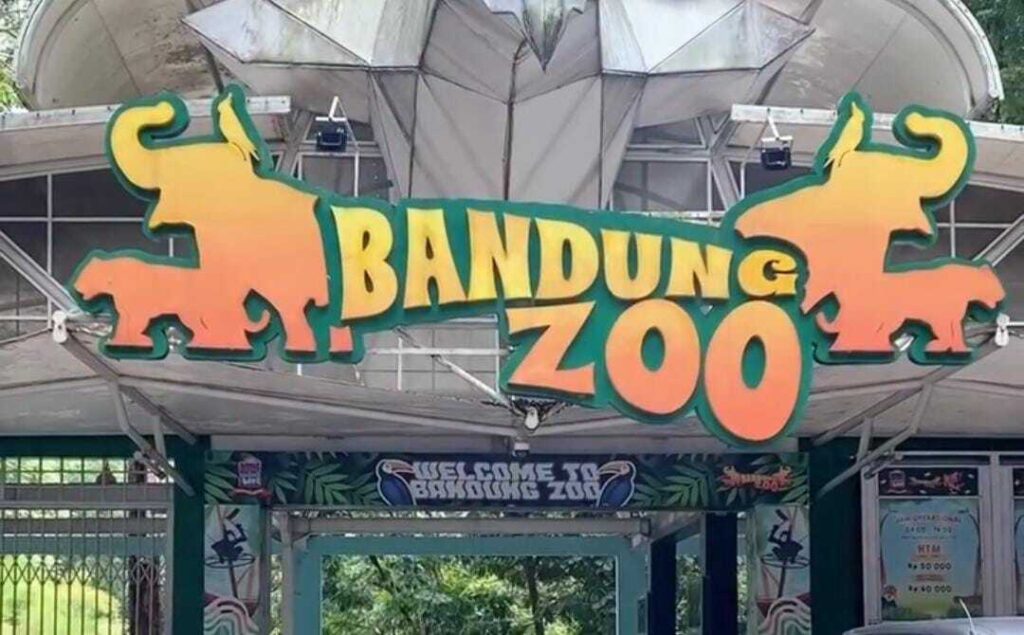 Bandung Zoo Diserahkan ke Pemkot Bandung. harimau mati bandung zoo