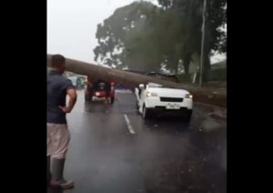 Mobil tertimpa pohon tumbang di Ciater (Instagram @infojawabarat)