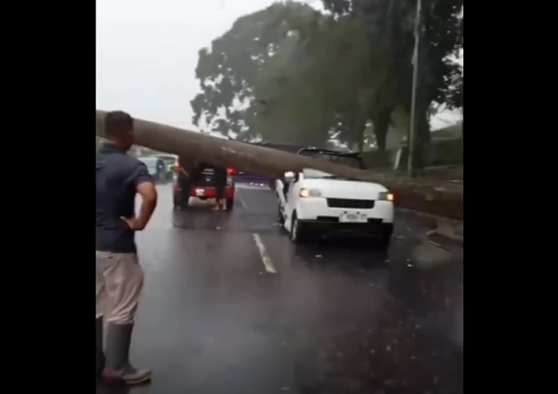 Mobil tertimpa pohon tumbang di Ciater (Instagram @infojawabarat)