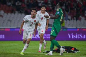 Timnas Indonesia