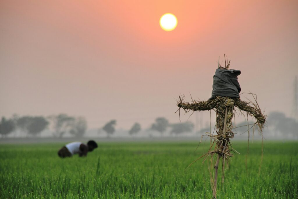 Alat Pemantau Cuaca. alih fungsi sawah