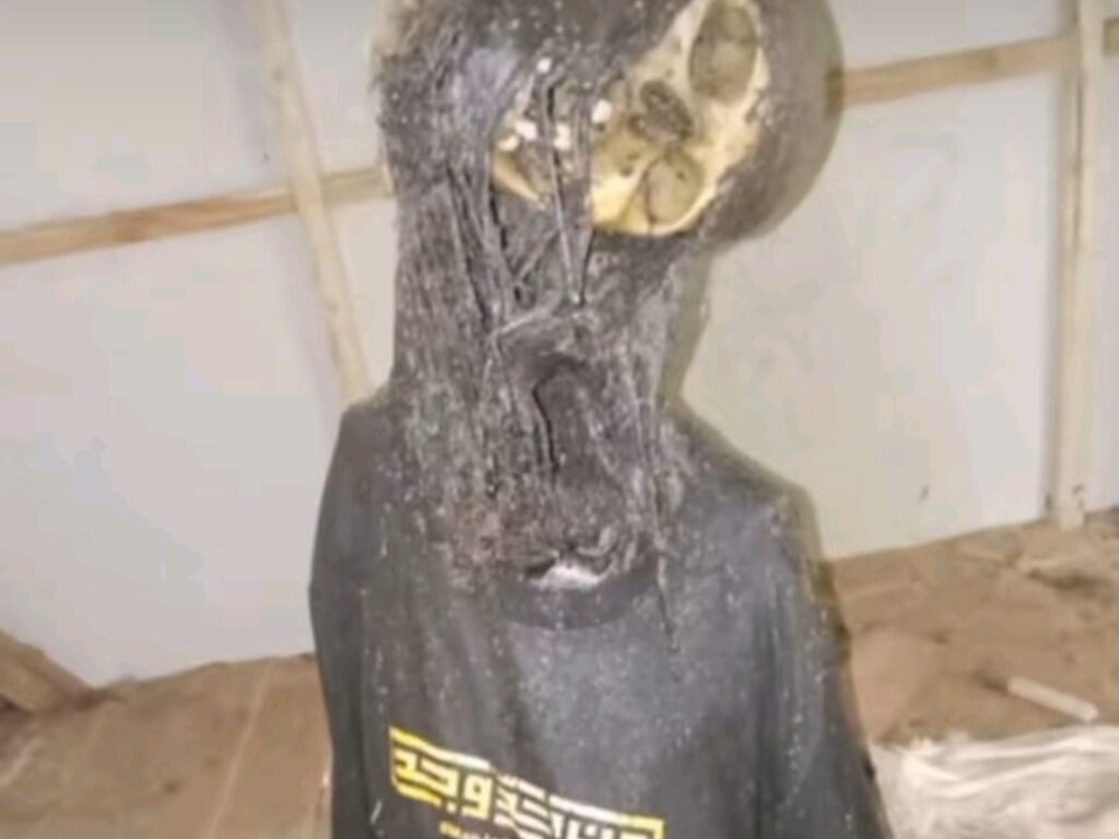 Kerangka di Gubuk Cibatu