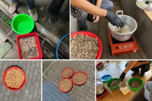 BioTiram
