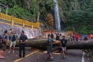 Jalur Lembah Anai
