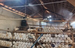 Smart Village Desa Karang Anyar