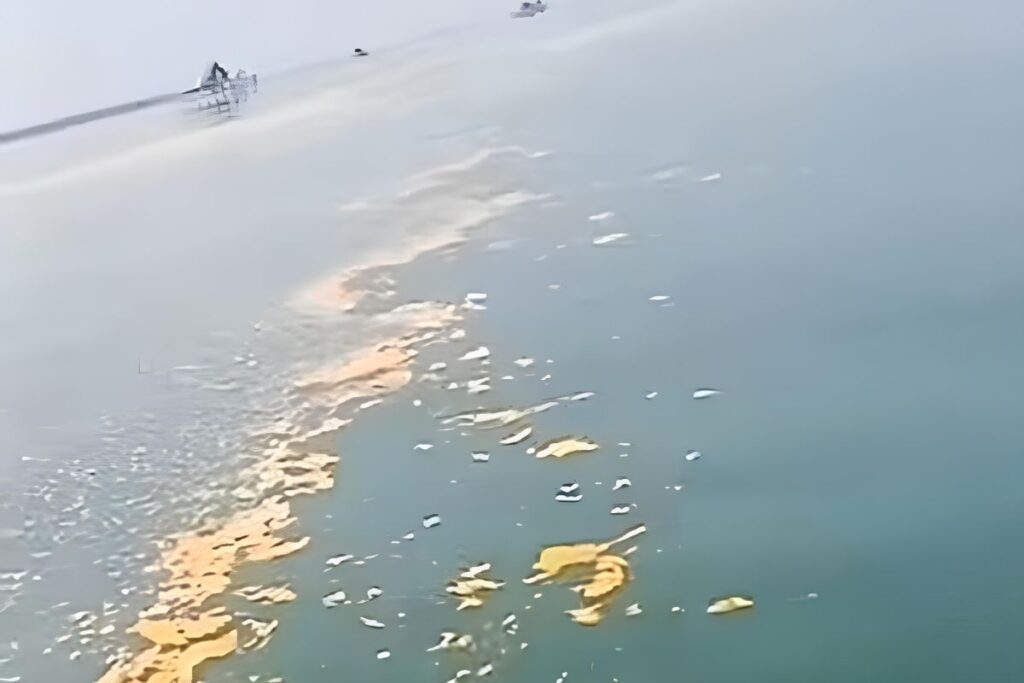 laut pantura tercemar minyak
