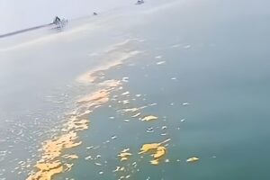 laut pantura tercemar minyak