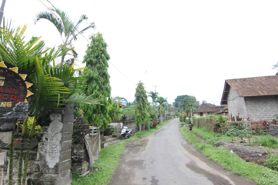Desa Taro