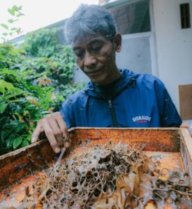Sukses Jalani KBS, RW 02 Cibangkong Produksi Madu Trigona yang Menyehatkan