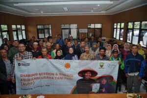 Asuransi Jasindo Dorong Literasi AUTP agar Petani Lebih Tangguh Hadapi Risiko