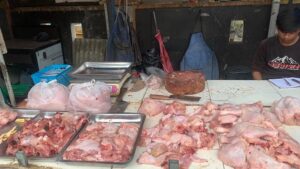Harga Ayam Potong Meroket Rp45