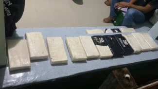 kokain selayar