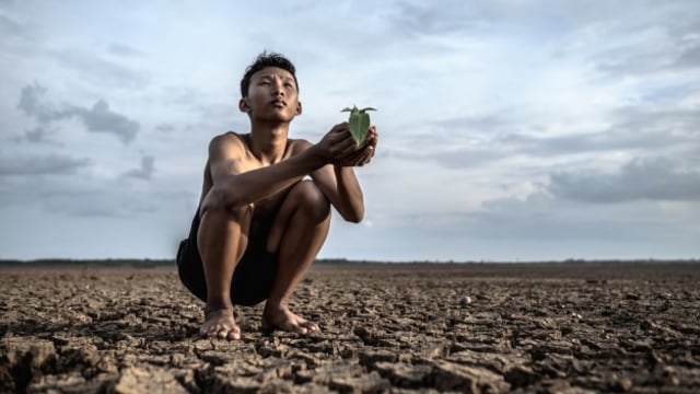 harga pangan