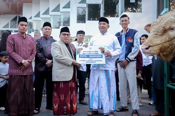 Farhan Serahkan Sapi Kurban Presiden Prabowo Seberat 1,25 Ton